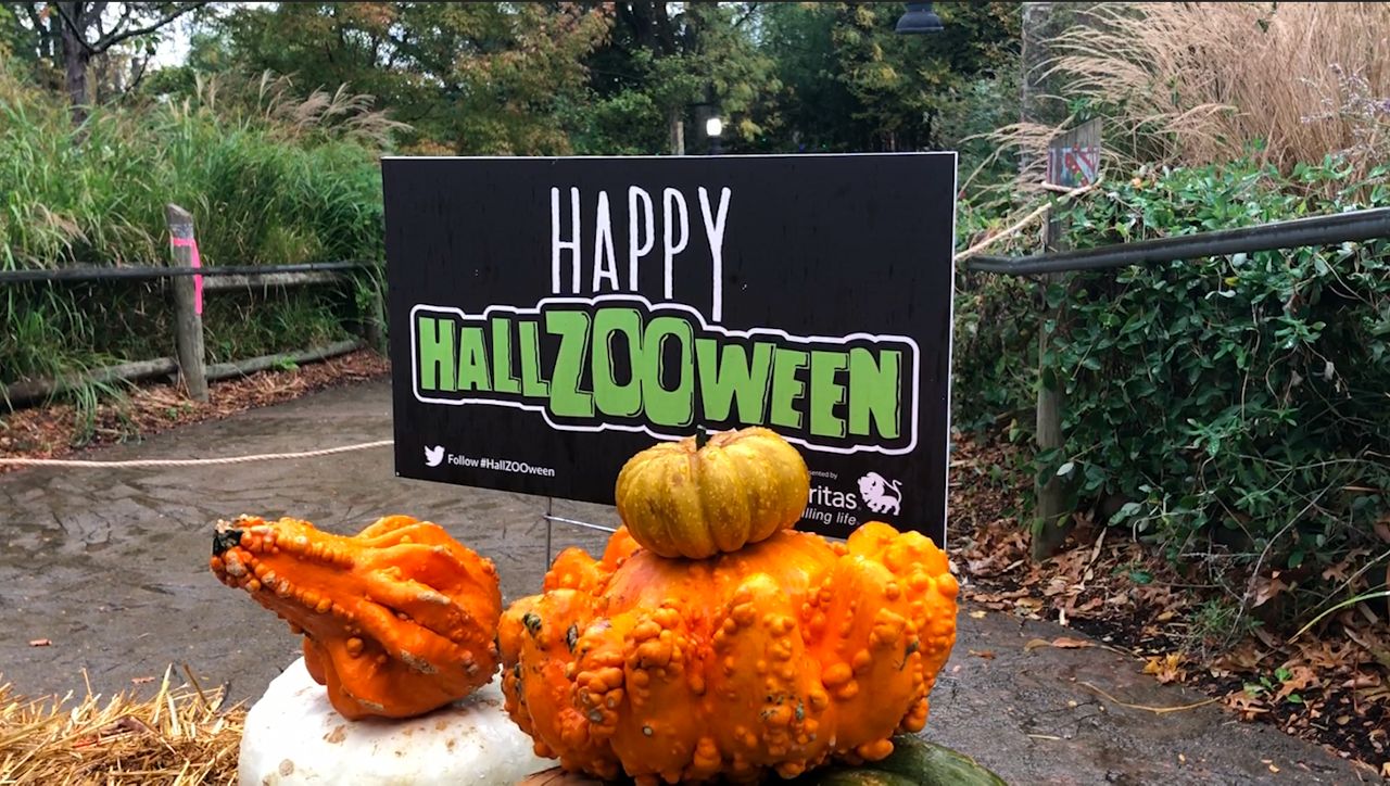 Zoo Makes HallZOOween Happen During Pandemic