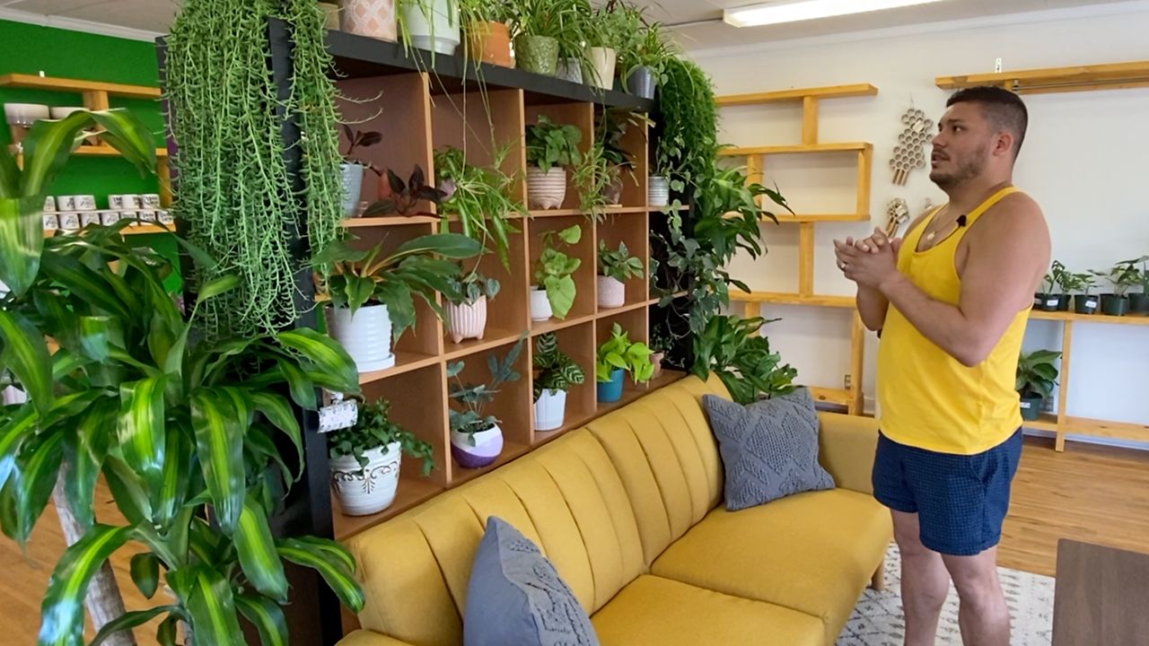 new plant store raleigh
