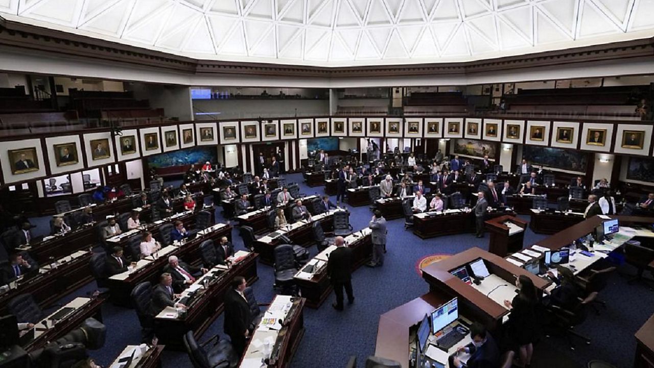 The Florida House voted on Thursday to passed a 15-week abortion ban, which will now go to the GOP-controlled Senate. (File Photo)