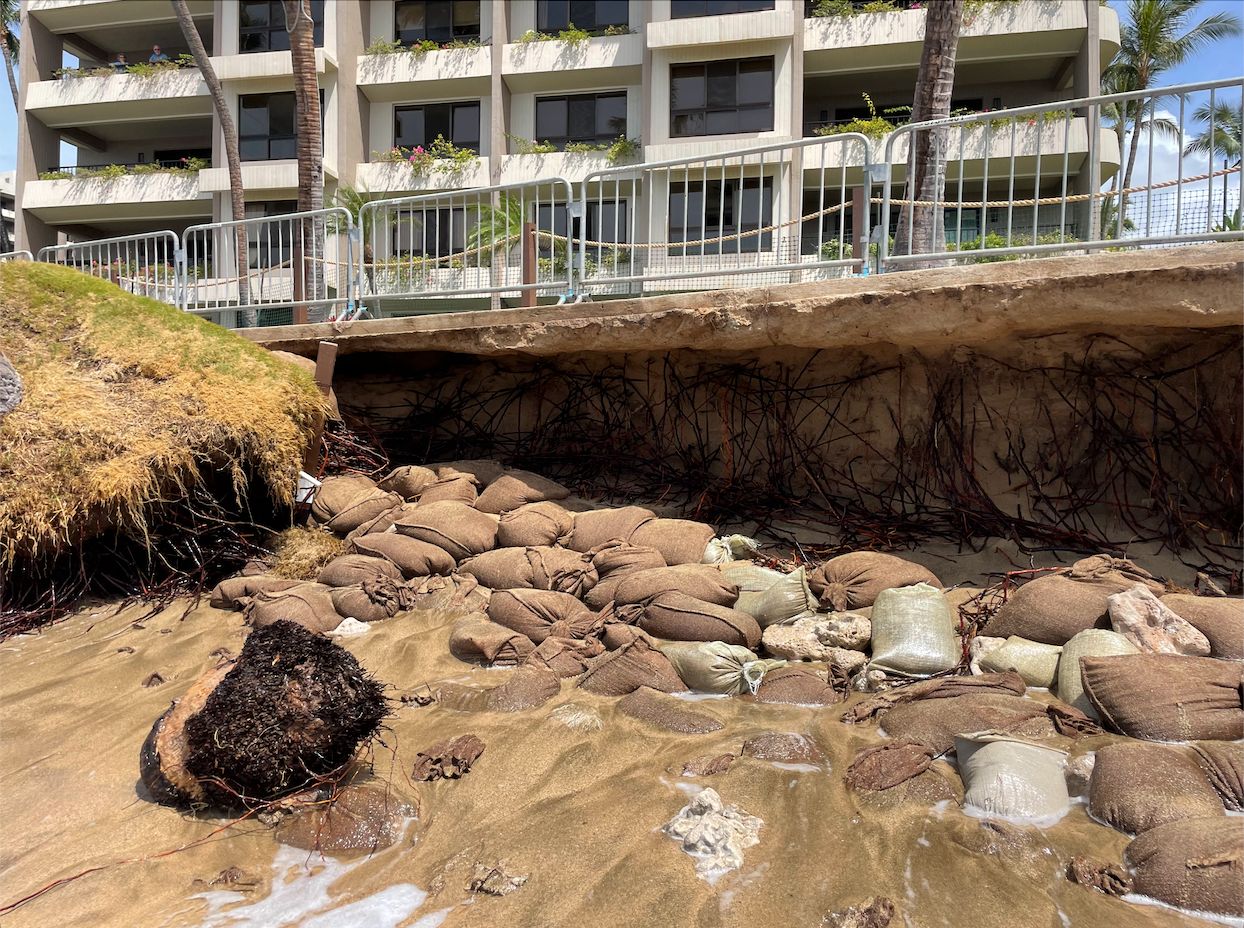 Sandbags at Kaanapali Beach. (Photo courtesy of Tiare Lawrence)