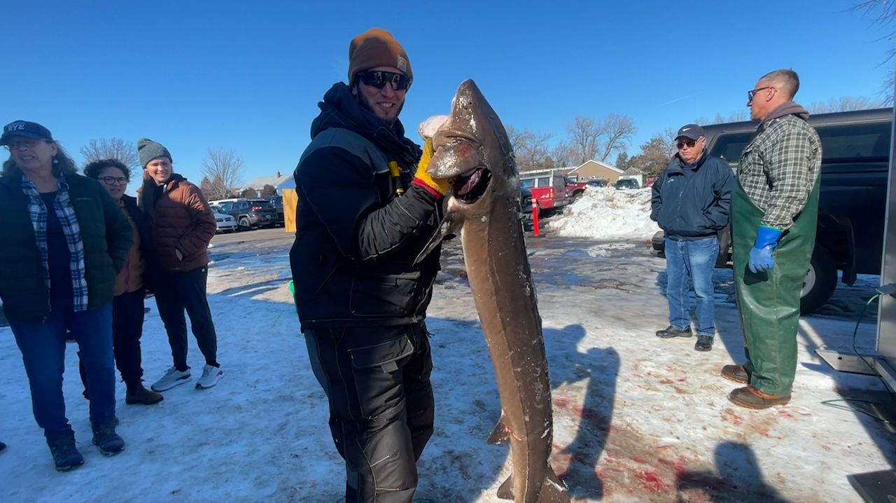 Sturgeon spearing season kicks off in Wisconsin