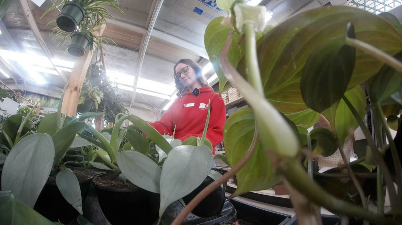 Employee wages start at 25+ and receive competitive benefits