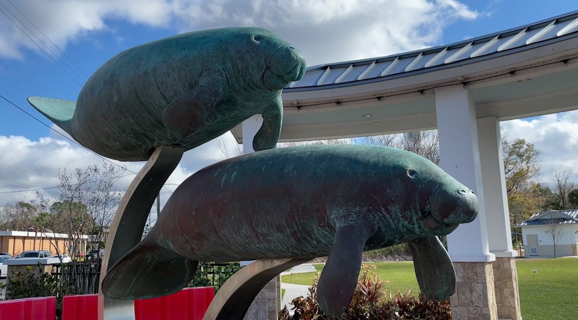 Manatee Festival returns to Crystal River