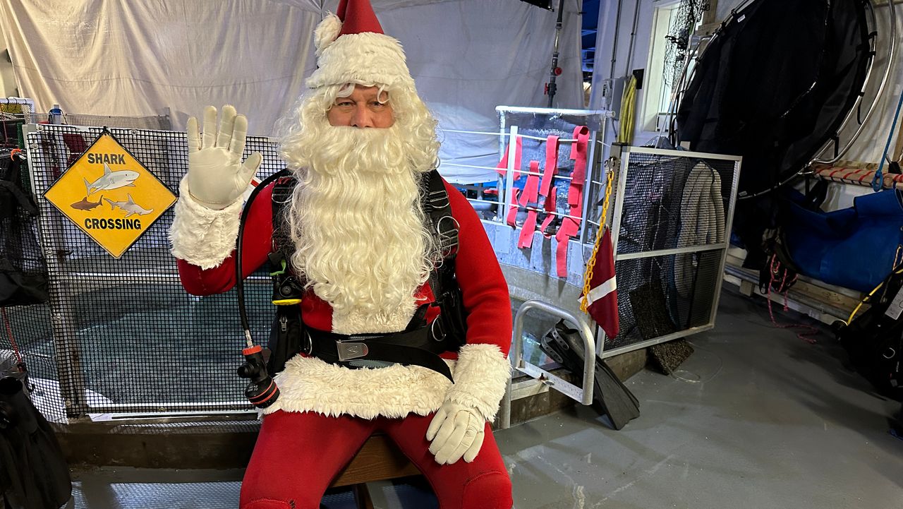 Scuba Santa spreads Christmas cheer for children