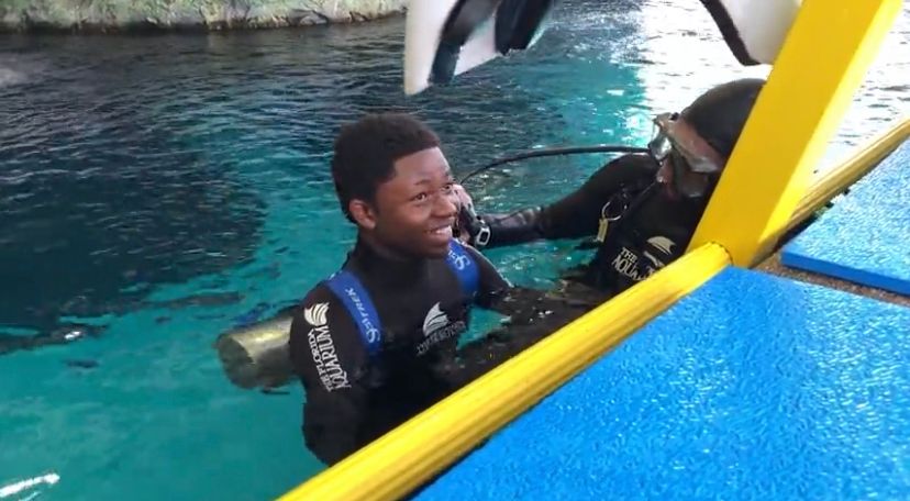 Florida Aquarium unveils SeaTrek program - Vimarsana News