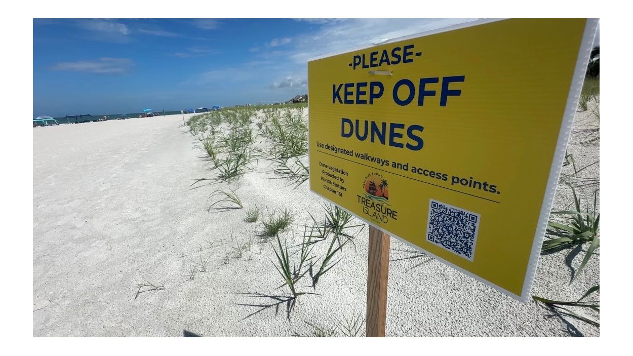 Beach ambassadors help protect sea turtles on Gulf Coast