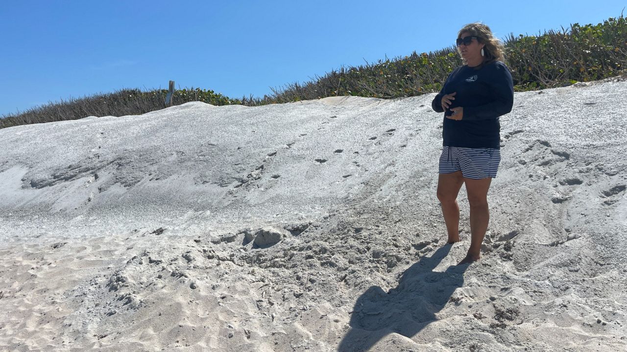 Uptick in flashlight use during sea turtle nesting season