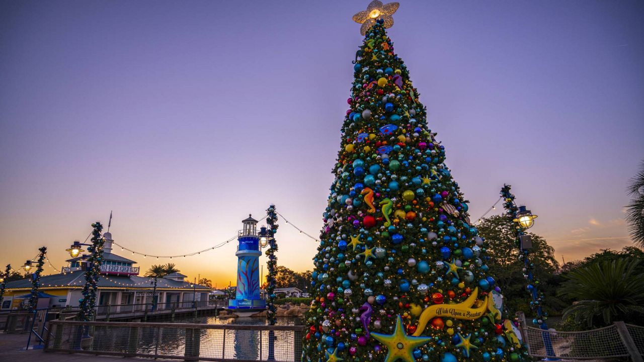 SeaWorld Orlando's "Coasters After Dark — Christmas Edition" will run on select nights from November through December, officials said. (Photo: SeaWorld Orlando)