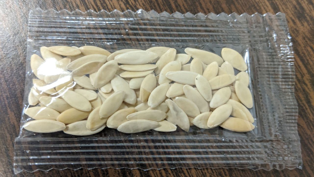 Photo of the seeds