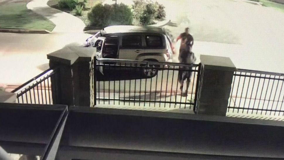 Two unidentified men dump a dog over the fence at Seguin Animal Services in this surveillance still from May 1, 2019. (Seguin Police Department/Facebook)