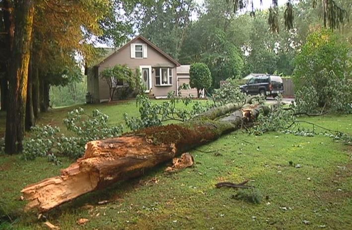 Severe Storm Sweeps Through Selkirk