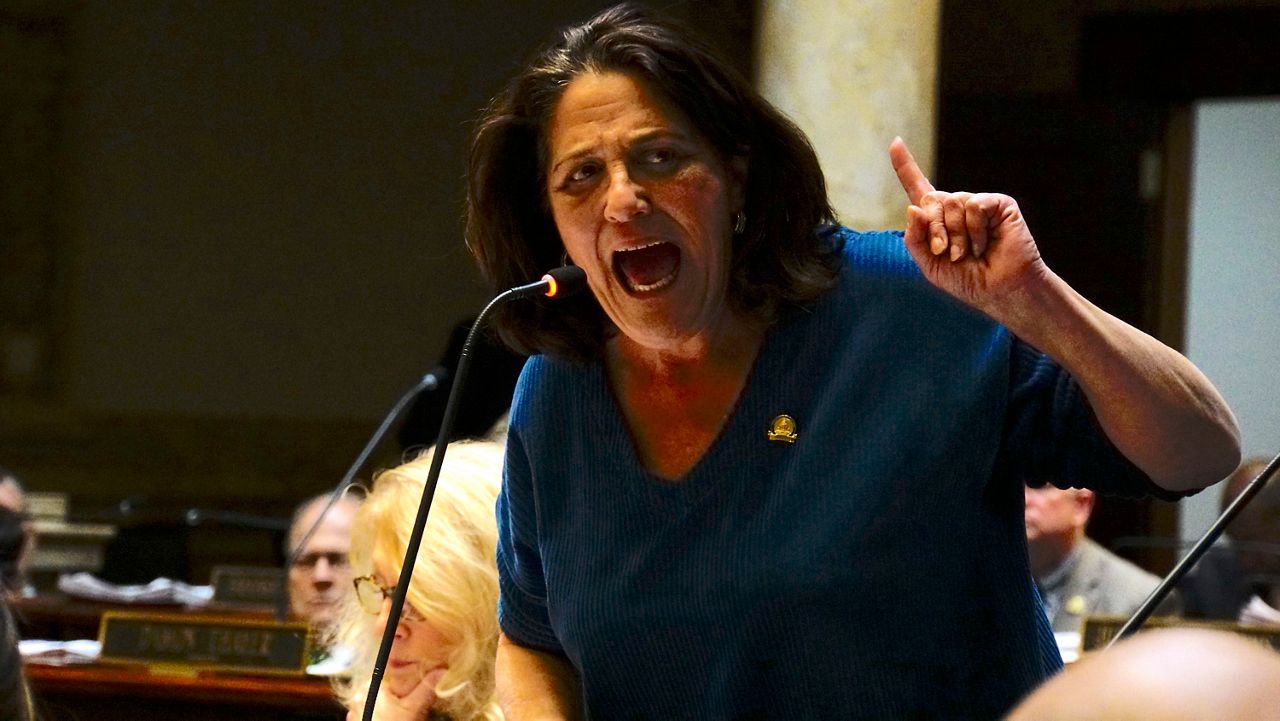 State Sen. Karen Berg (D-Louisville) delivers a speech on the Senate Floor during the 2023 legislative session (Spectrum News 1/Mason Brighton)