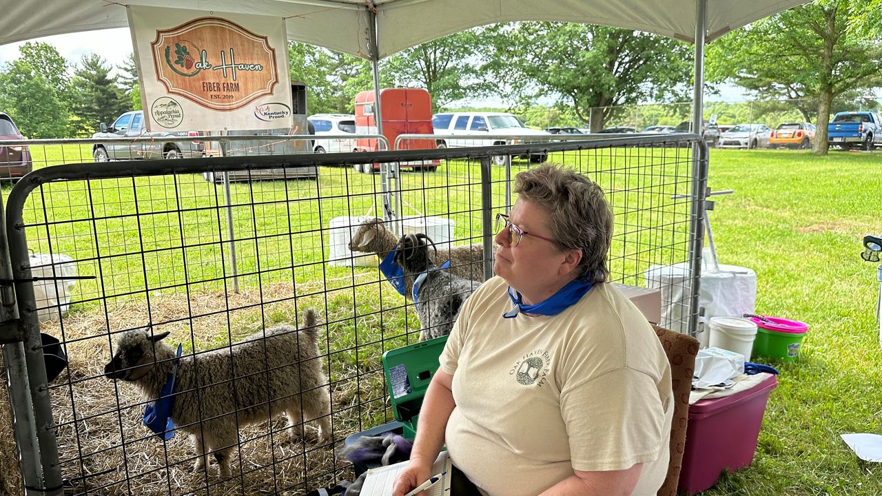 Lexington hosts annual Kentucky Sheep & Fiber Festival