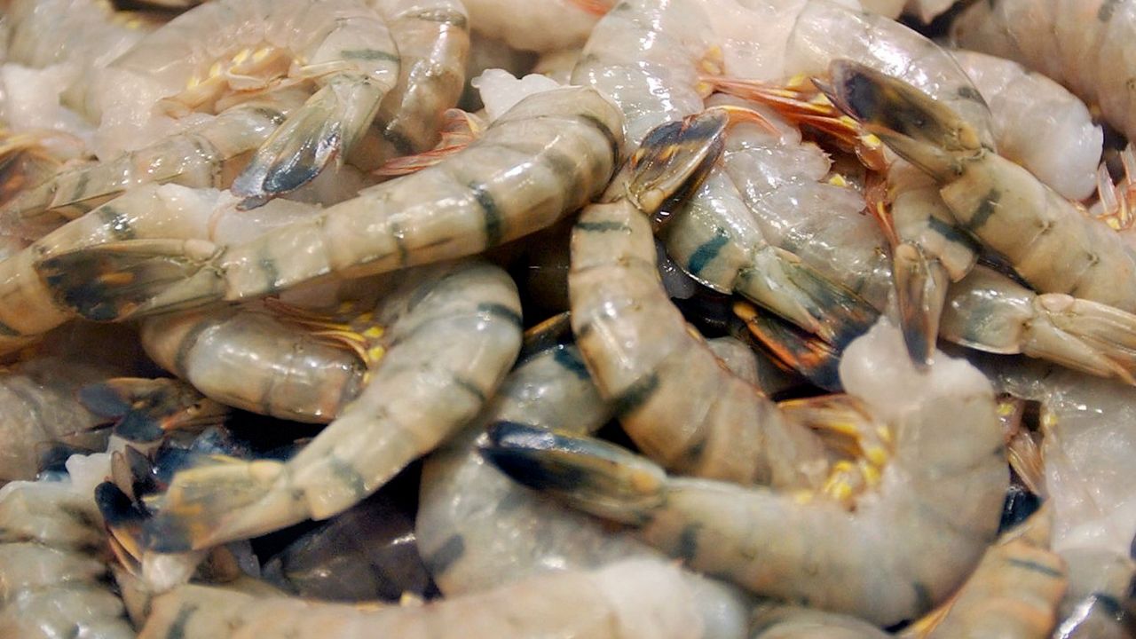 Avanti Frozen Foods has issued a recall of various frozen shrimp products because of the potential to be contaminated with Salmonella (Avanti Frozen Foods)