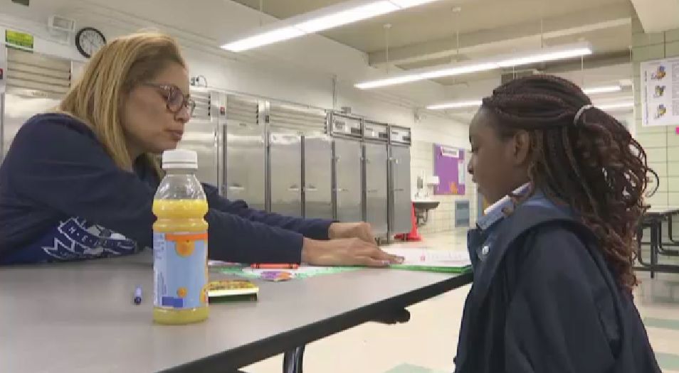 Homework offer eaglesbush house 05 picture