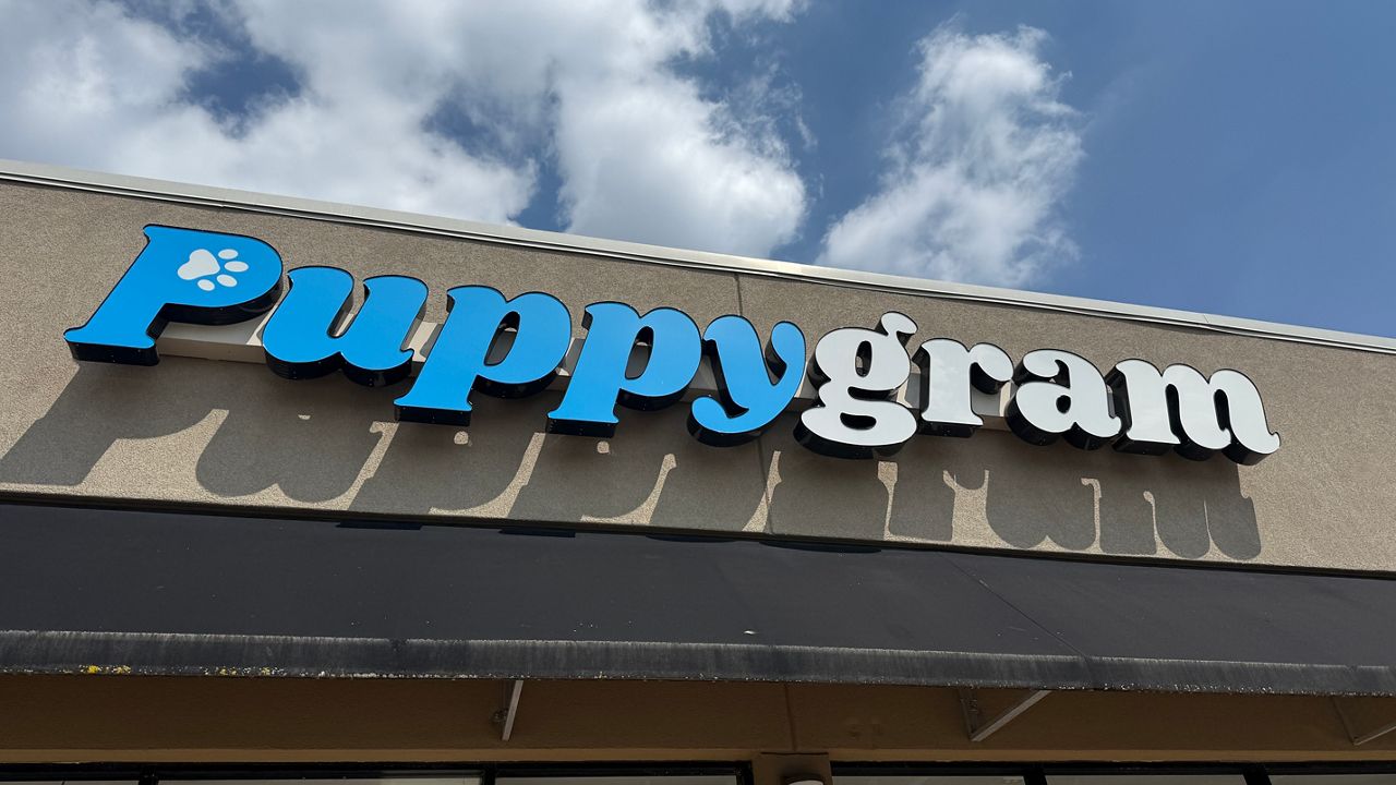 Judge bars Louisville store from selling dogs, cats