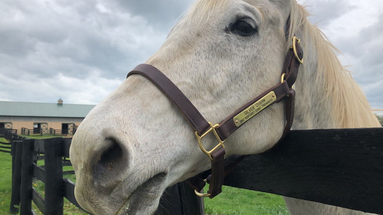 SILVER CHARM  Old Friend Equine