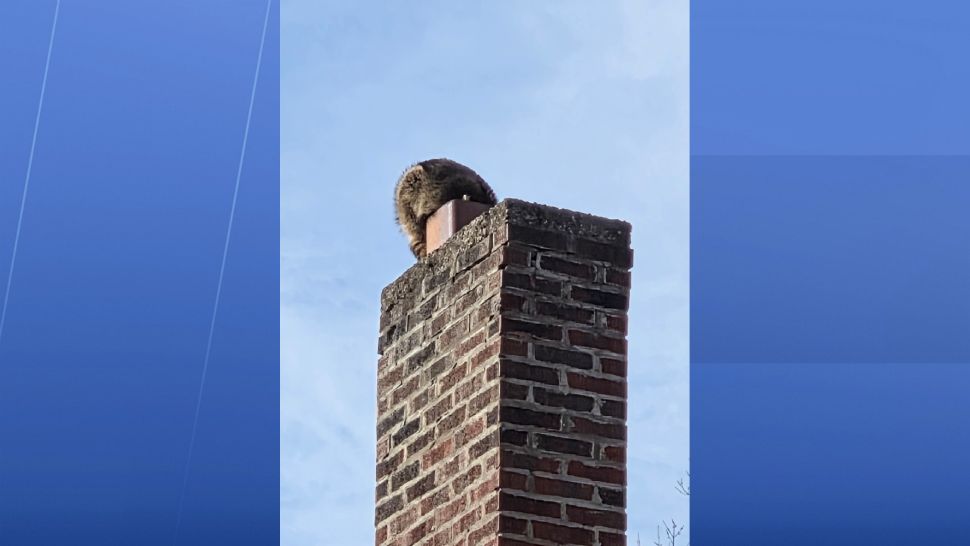 Wildlife calls climb as temperatures shift