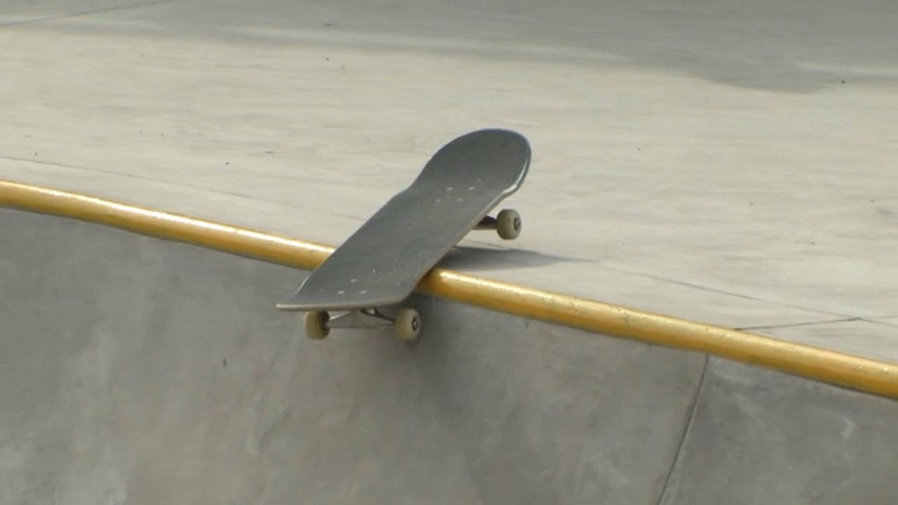 Town of Greece applying for grant to build skatepark - Vimarsana News