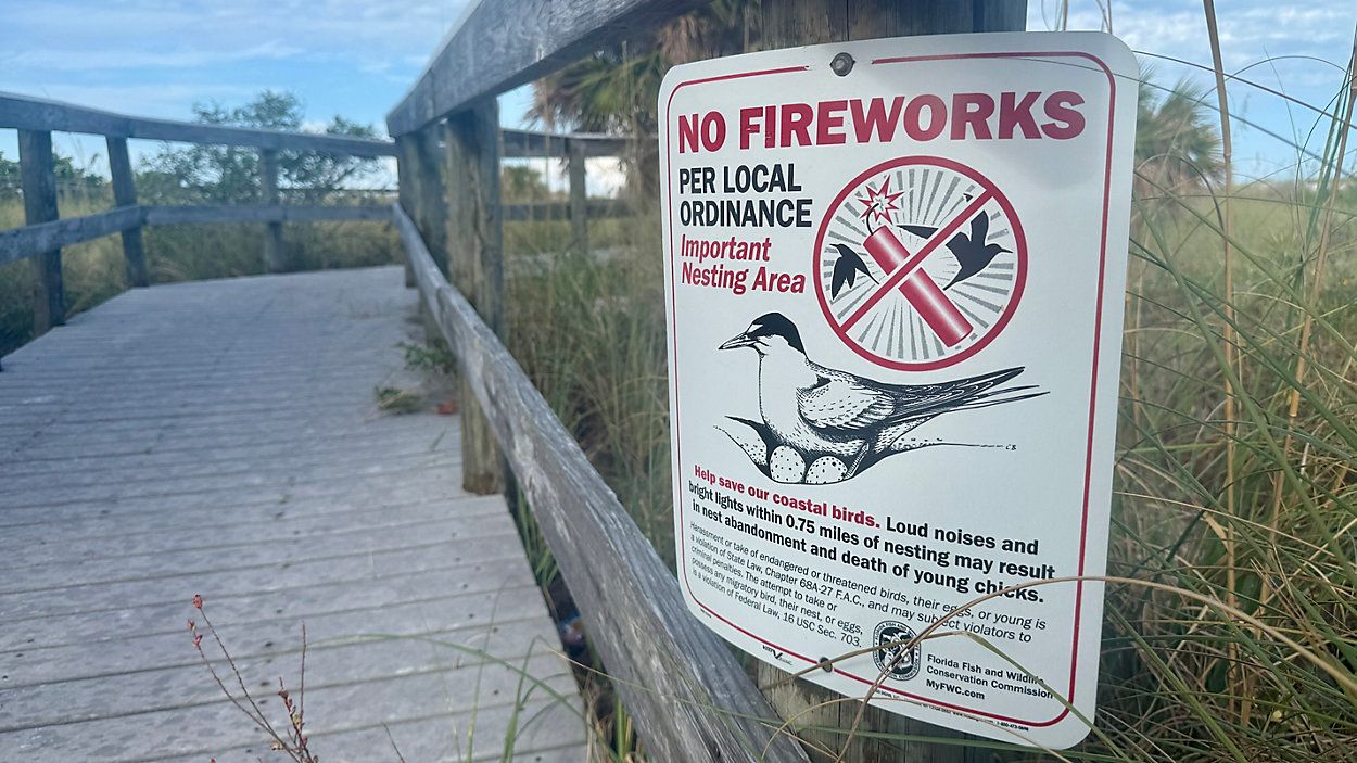 Sharing the seashore with nesting seabirds made easier by education-driven outreach