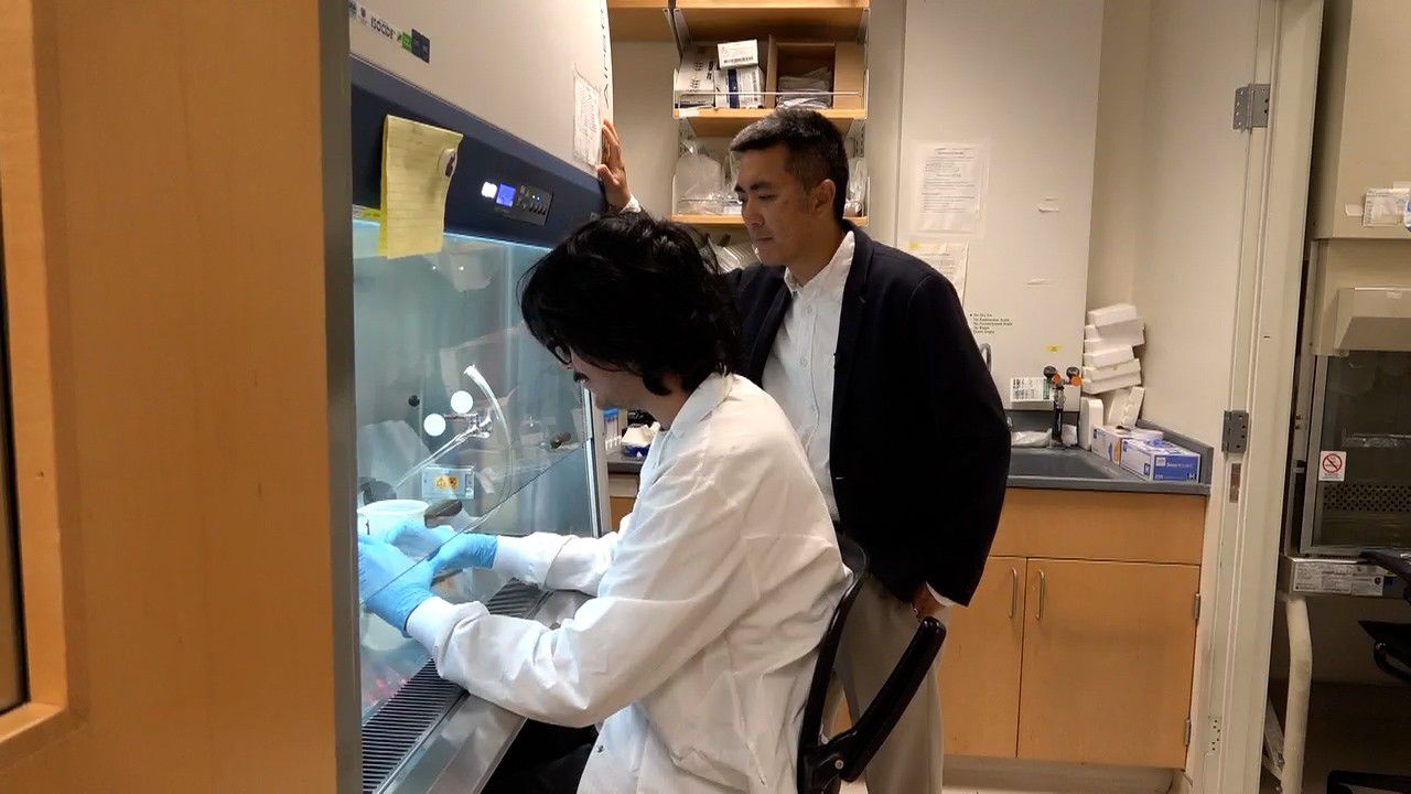 USCD researchers work to develop 'smart' red blood cells