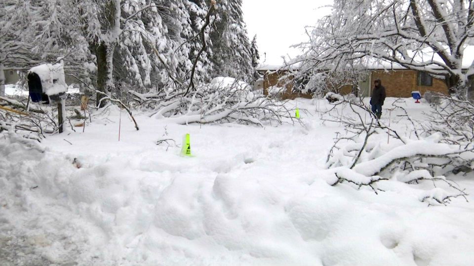 2 to 4 inches of snow possible in Dutchess