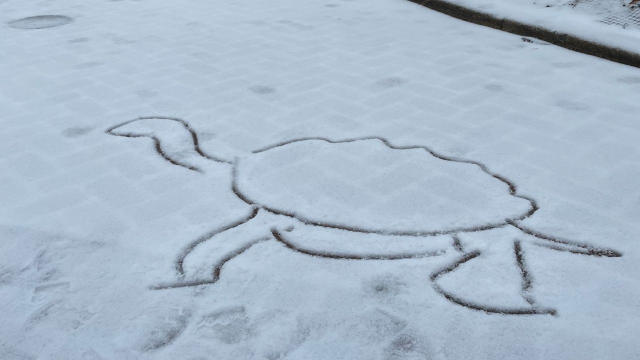 A partially frozen pond at the Cincinnati Zoo and Botanical Garden. (Provided)