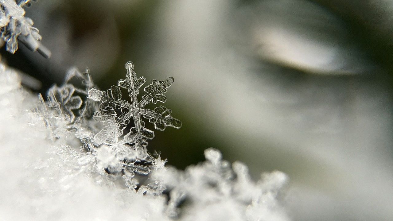 Flakes