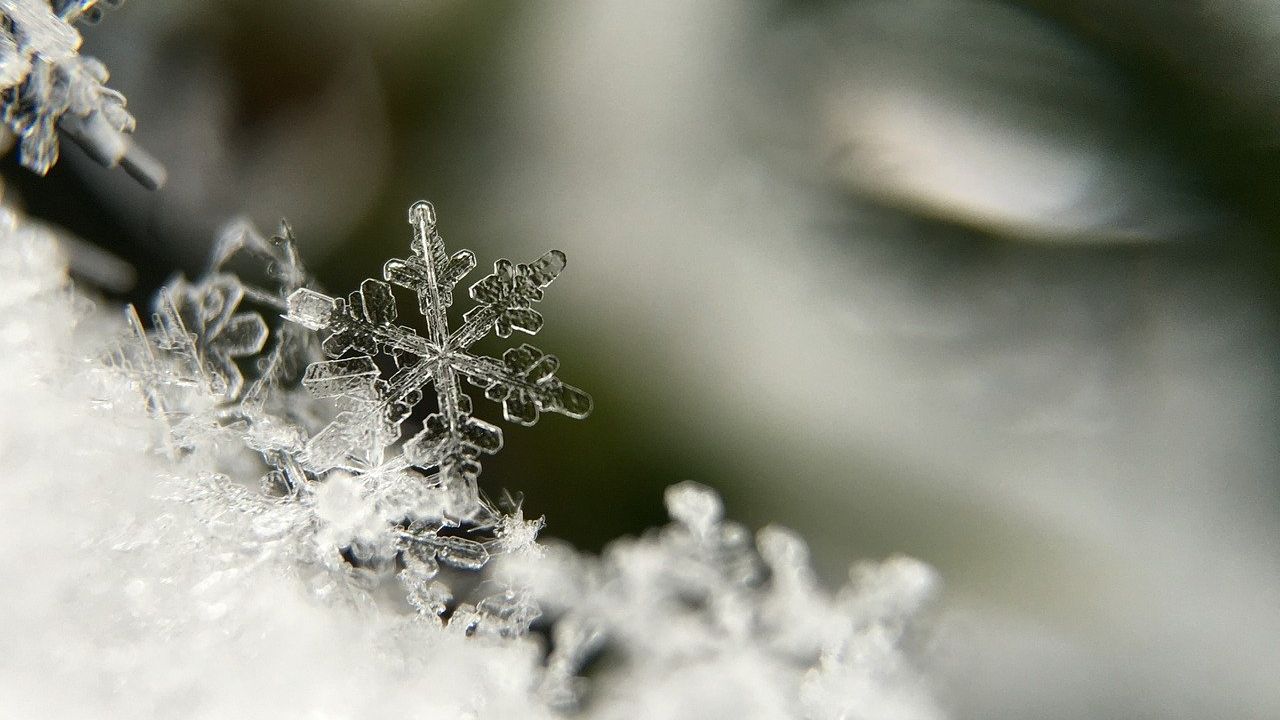 Snow flake photo