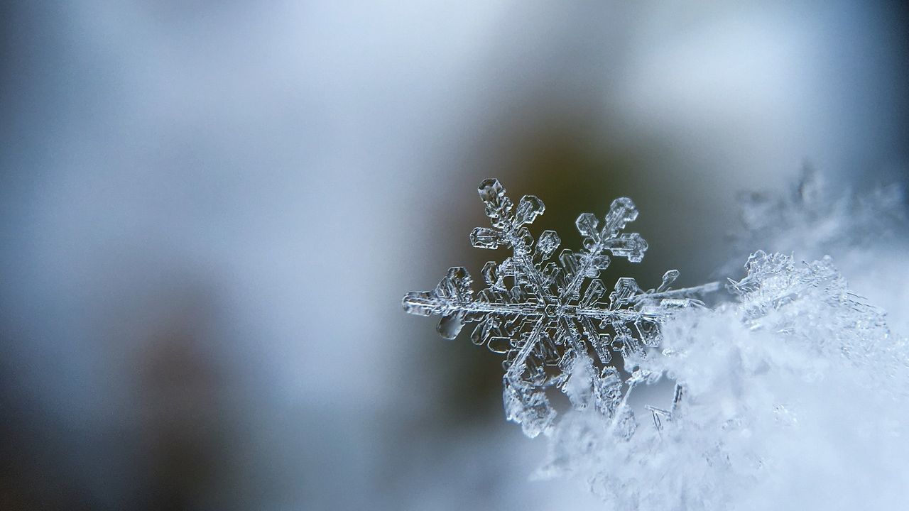 Snow flake photo