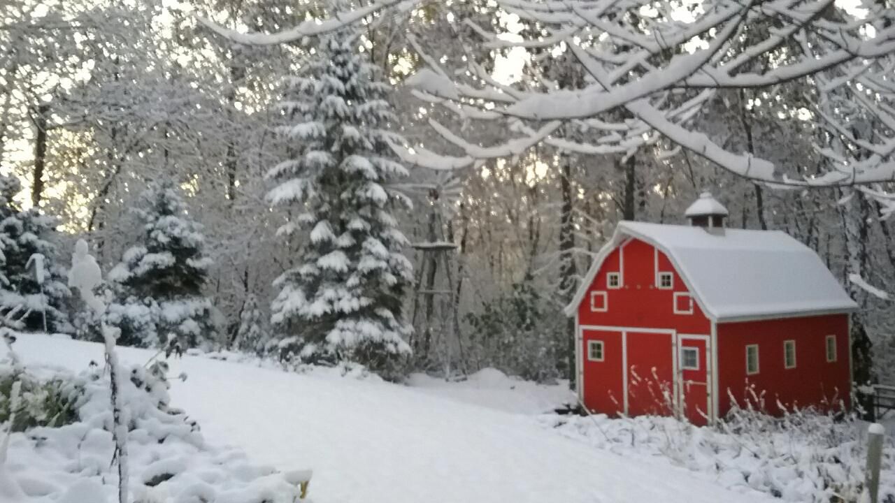 Wisconsinites see first snow fall of the season