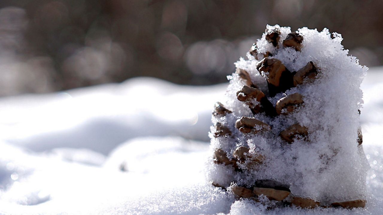 Fresh snowfall