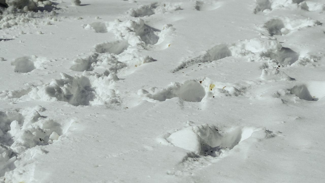 PHOTOS: Winter storm brings heavy snow to Kentucky