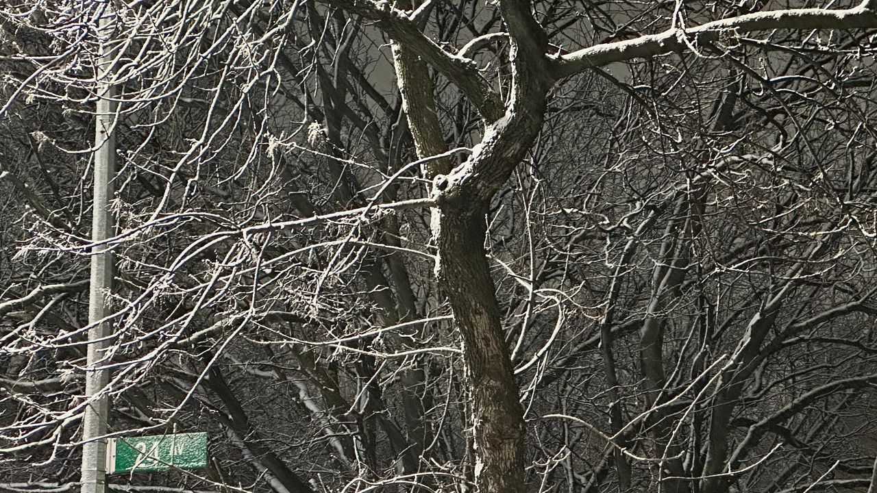 Morning Briefing Feb. 28, 2023