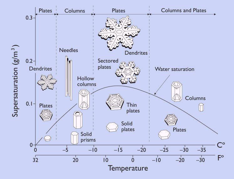 Snowflake Shapes