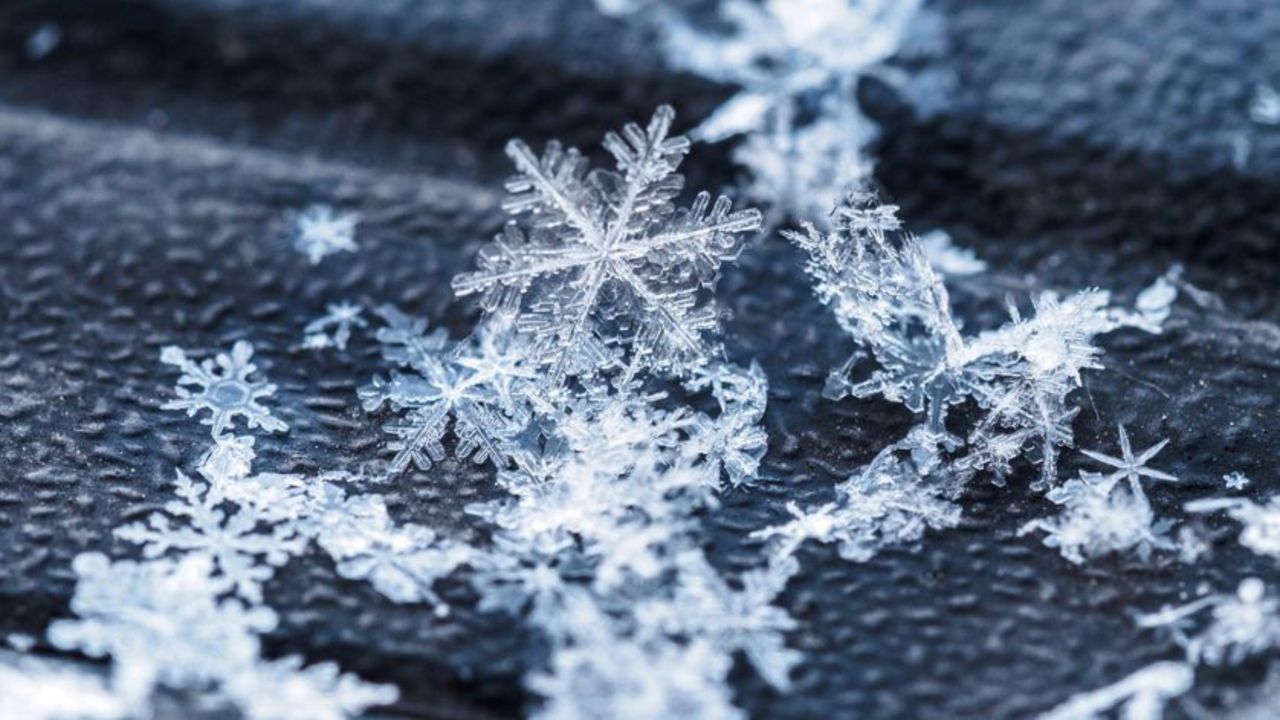 Individual tiny delicate snow crystals