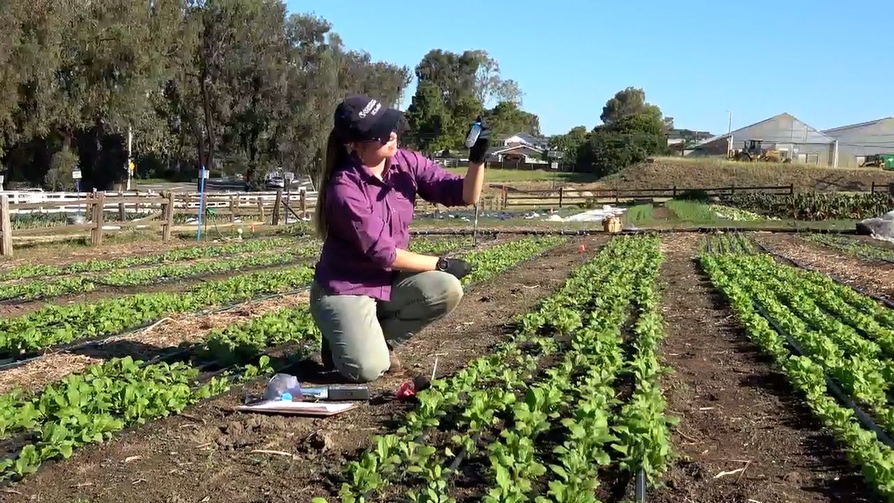 Farmers and scientists team up to study soil