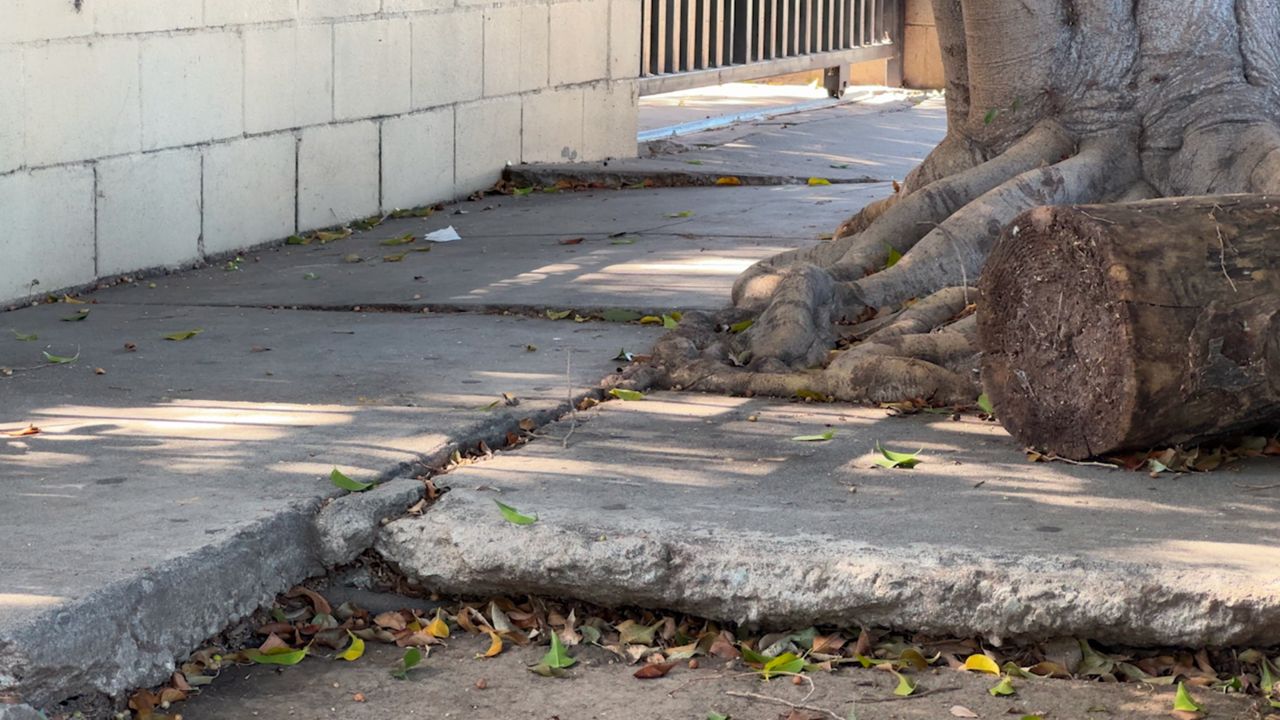 South LA residents demand action on neglected streets as City Council race heats up