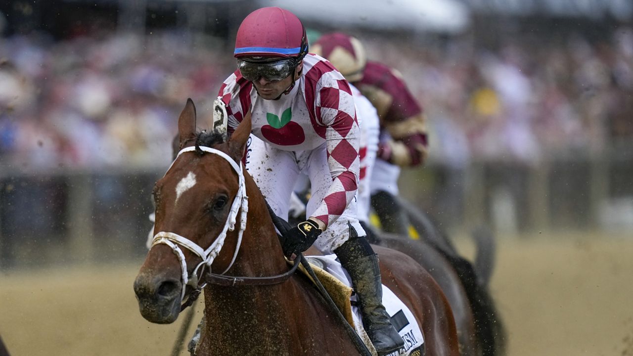 Umberto Rispoli, atop Journalism, participates in the 150th running of the Preakness Stakes horse race Saturday, May 17, 2025, at Pimlico Race Course in Baltimore. (AP Photo/Stephanie Scarbrough)