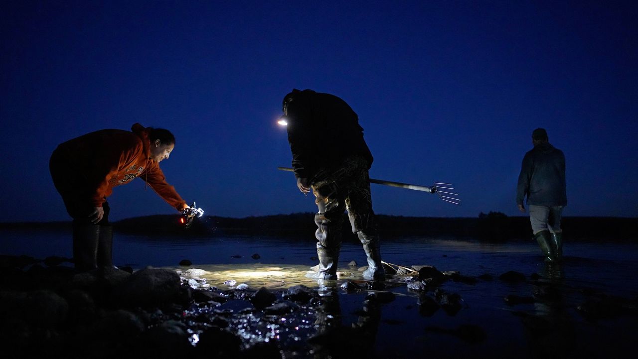 Auno Barber, left, and Mark Ojibway look in shallow water while preparing to spearfish