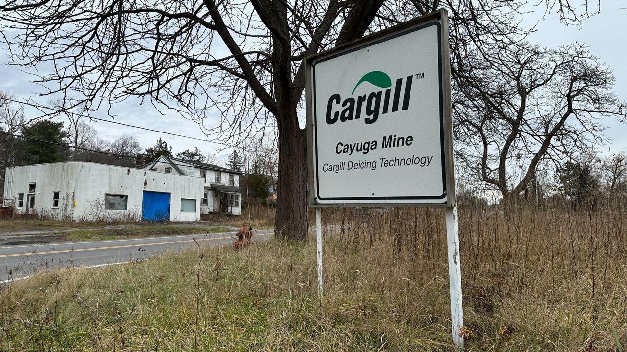 Environmental advocates want review of Cayuga Lake salt mine