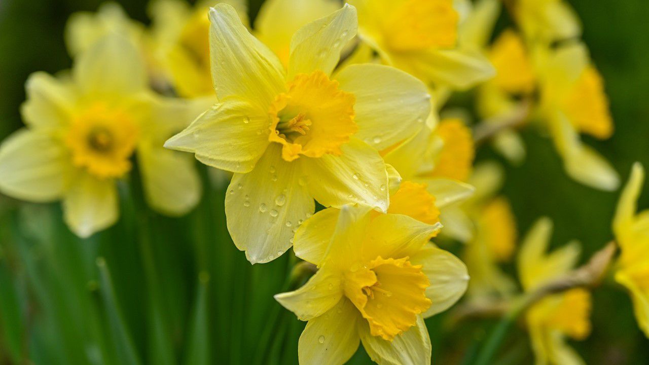 What April could bring to the Capital Region