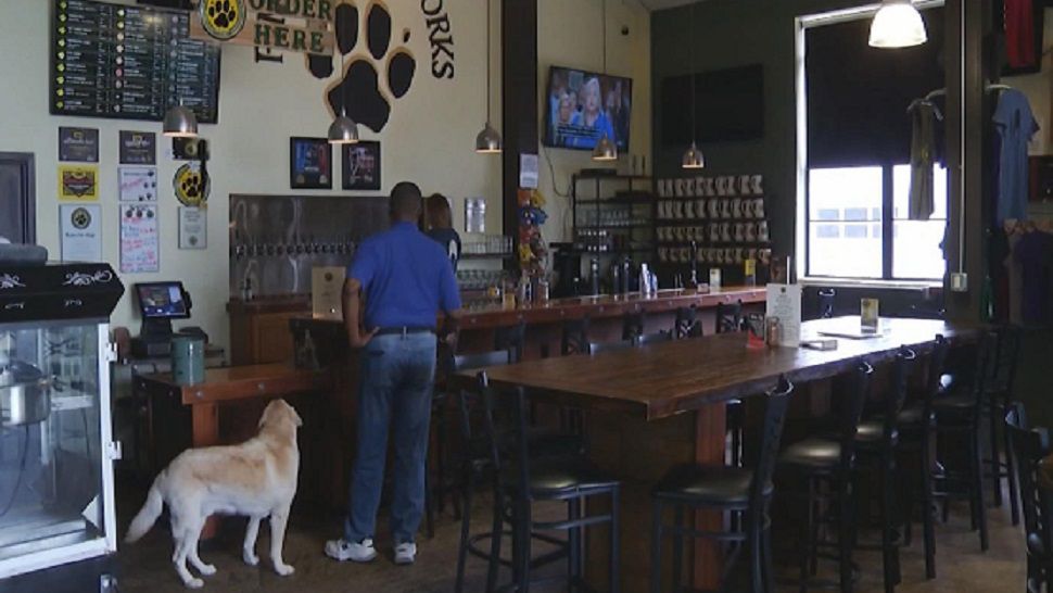 dog friendly bar st pete