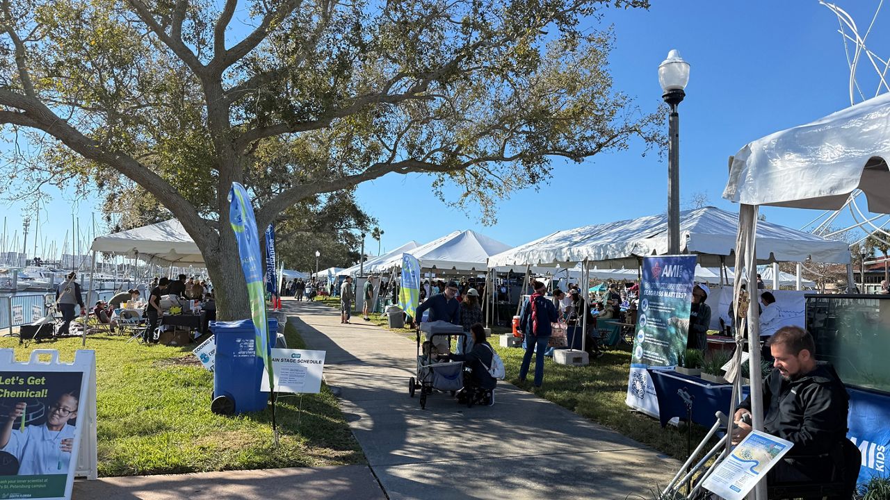 The St. Petersburg Science Festival returns