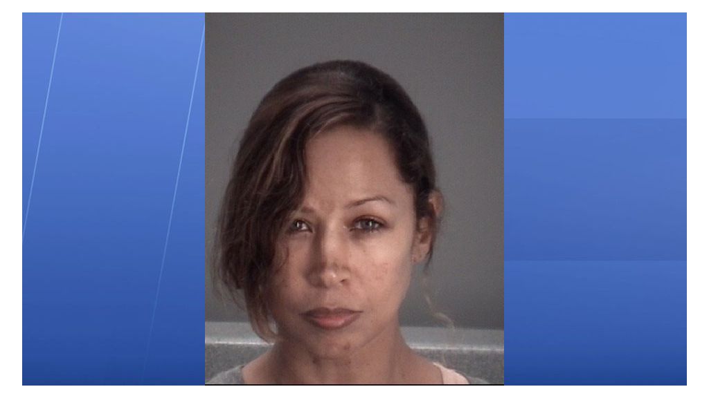 stacey_dash_mugshot0930jpg