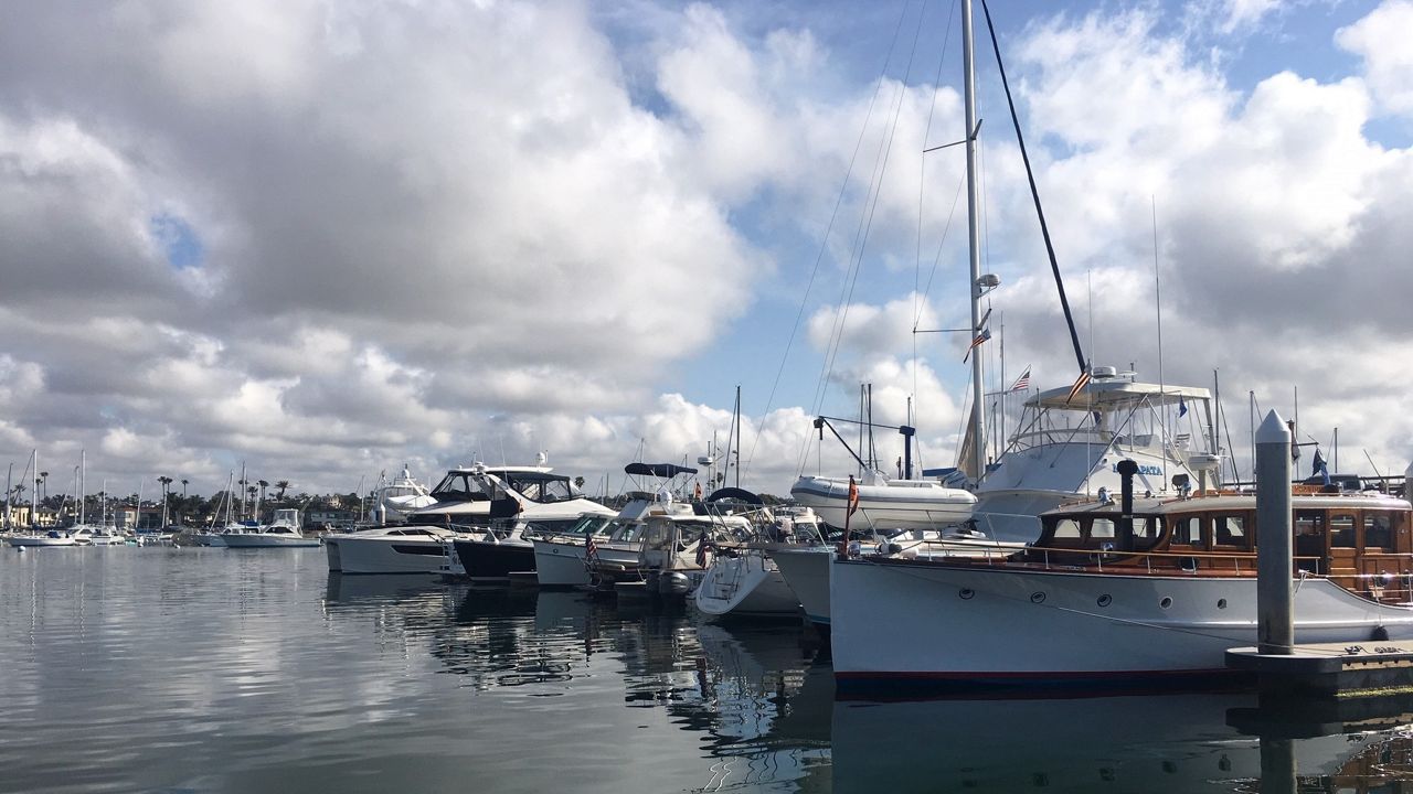 A coalition of local, state and federal agencies have combined plans to eradicated a newly arrived invasive algae species (Photo courtesy of Newport Beach)