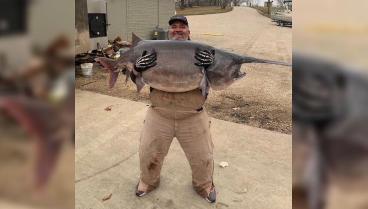 Man catches world-record paddlefish at Lake of the Ozarks