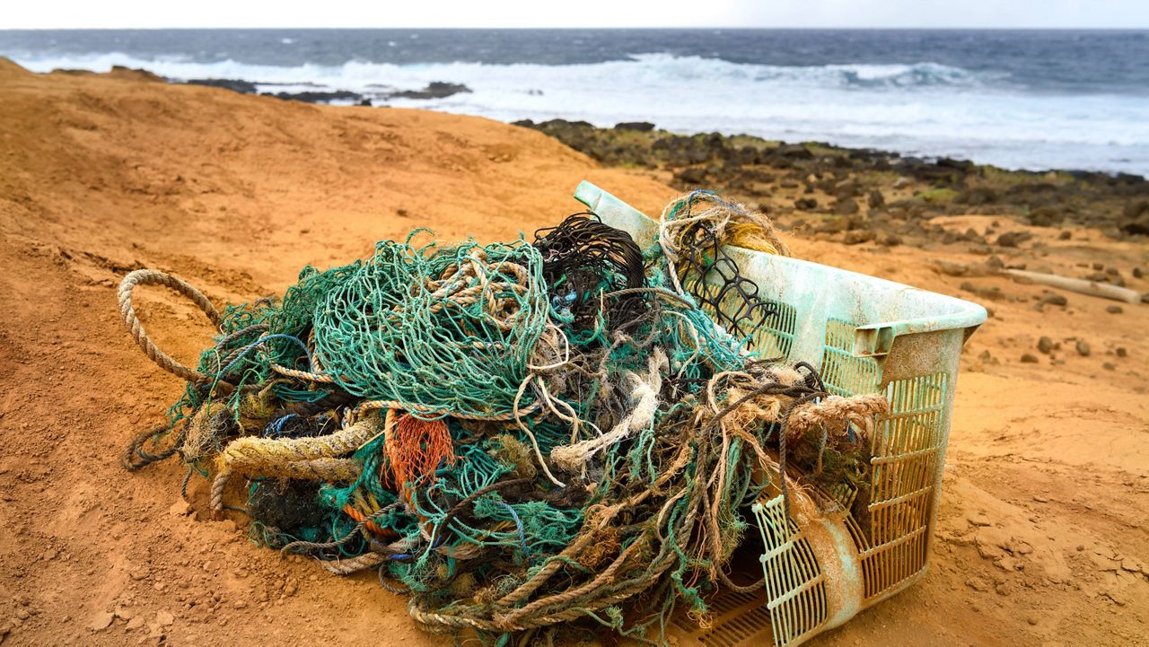 Marine debris at a Big Island beach. (Getty Images/RugliG)