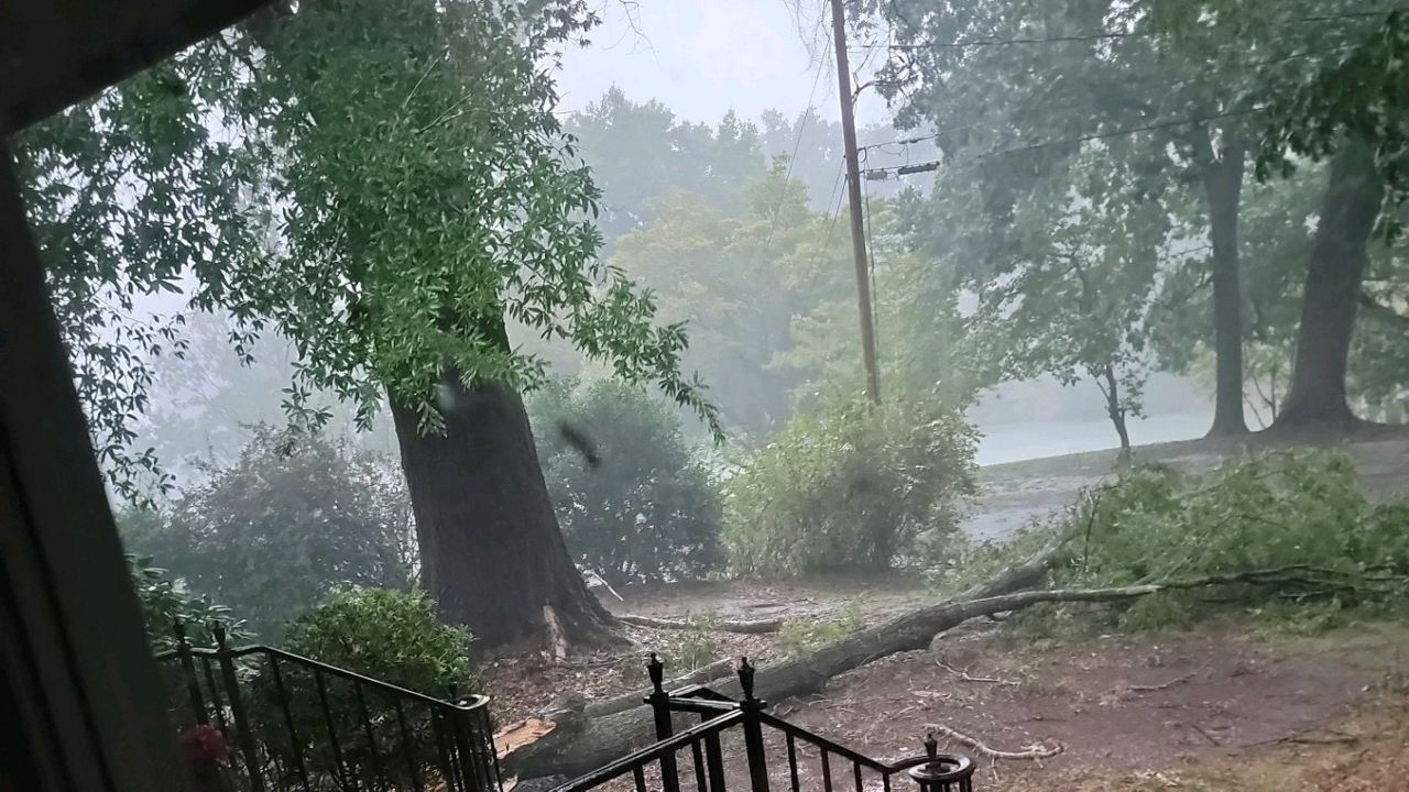 The storm knocked down trees as it moved east across North Carolina. (Spectrum News 1)