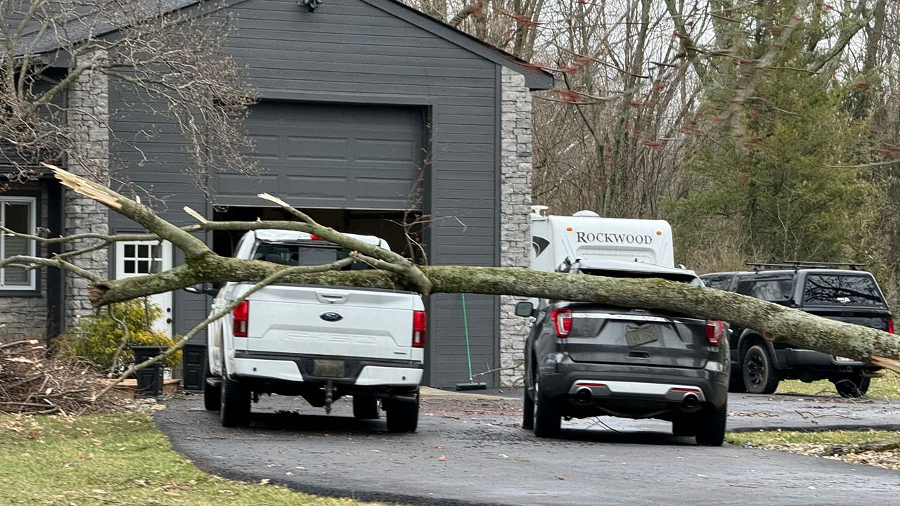 A tree lays across two cars in Blacklick, Ohio after storms ripped through the area Wednesday morning. (Photo courtesy of Will Douglas)